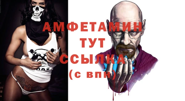 ECSTASY Пересвет
